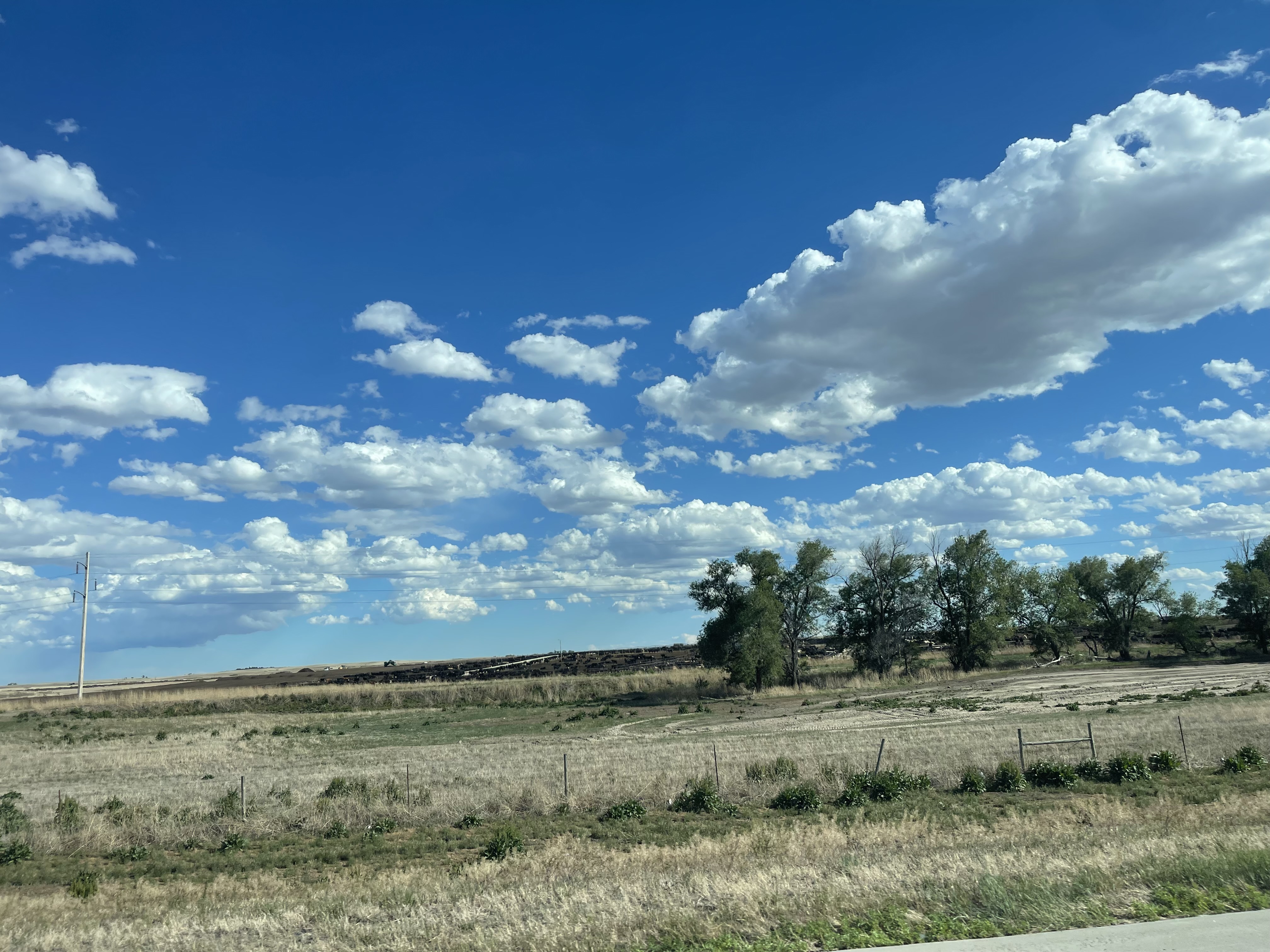 Ogallala area evening