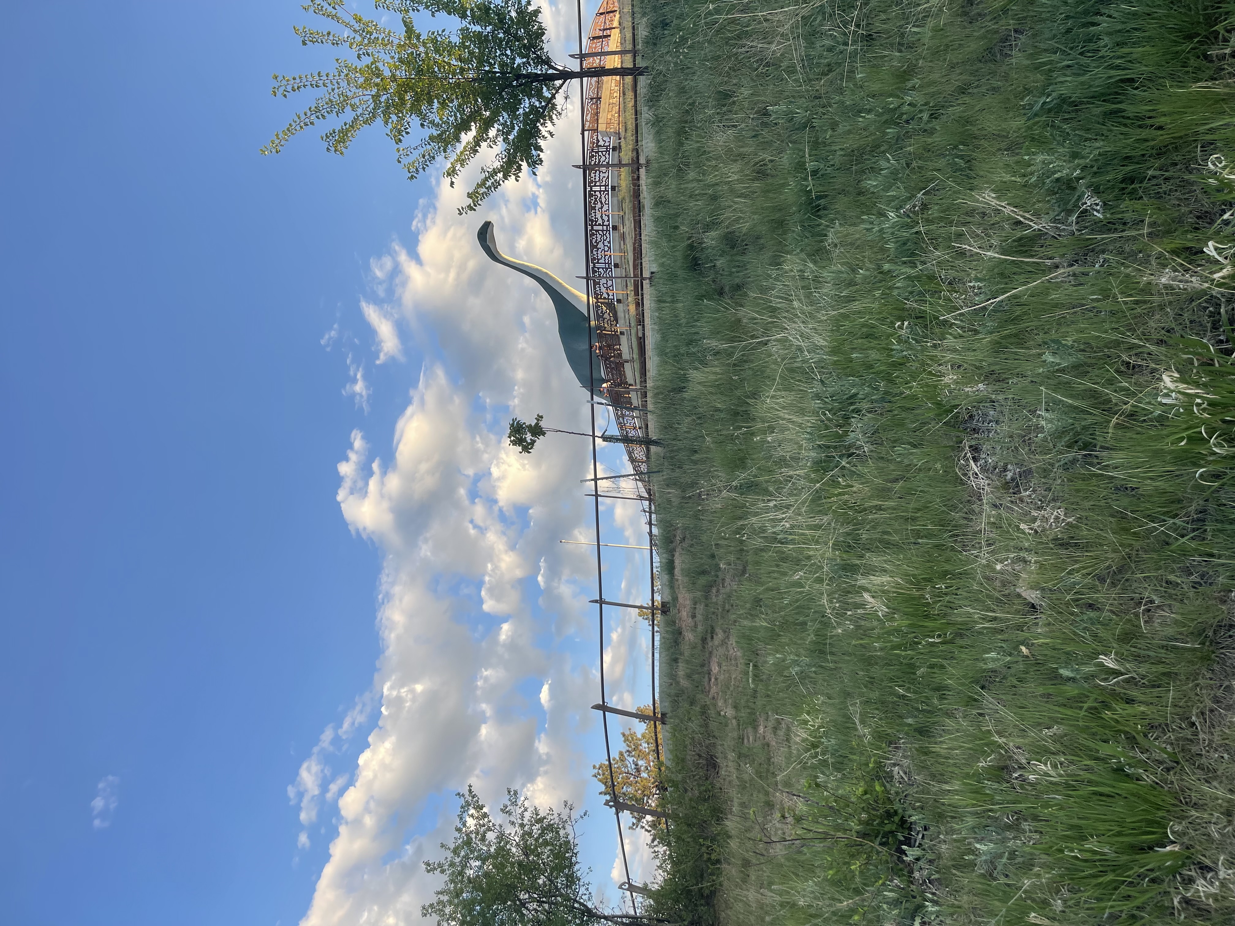 Rapid City evening